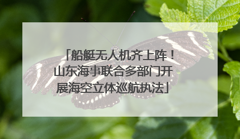 船艇无人机齐上阵！山东海事联合多部门开展海空立体巡航执法