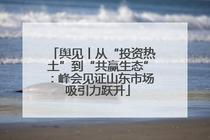 舆见丨从“投资热土”到“共赢生态”：峰会见证山东市场吸引力跃升