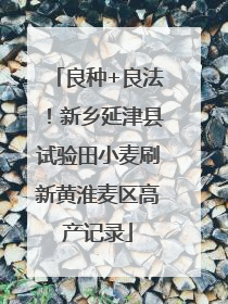 良种+良法！新乡延津县试验田小麦刷新黄淮麦区高产记录