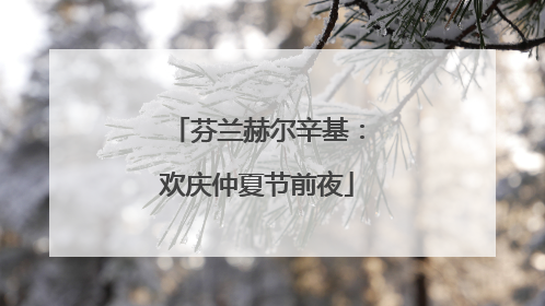 芬兰赫尔辛基：欢庆仲夏节前夜