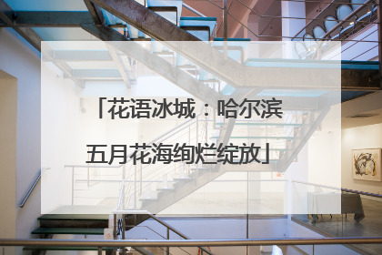 花语冰城：哈尔滨五月花海绚烂绽放