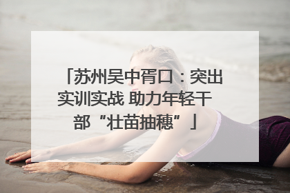 苏州吴中胥口：突出实训实战 助力年轻干部“壮苗抽穗”