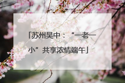苏州吴中：“一老一小”共享浓情端午