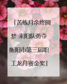苦练月余终圆梦 耒阳队勇夺衡阳市第三届职工龙舟赛金奖