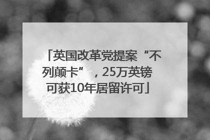 英国改革党提案“不列颠卡”，25万英镑可获10年居留许可