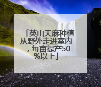 英山天麻种植从野外走进室内，每亩提产50%以上