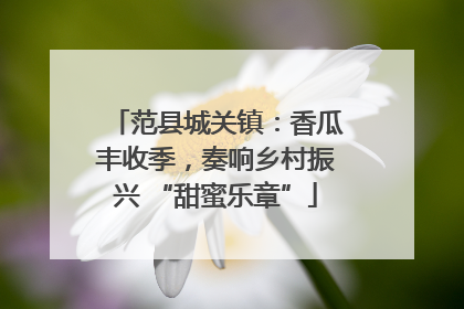 范县城关镇：香瓜丰收季，奏响乡村振兴 “甜蜜乐章”