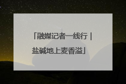 融媒记者一线行｜盐碱地上麦香溢