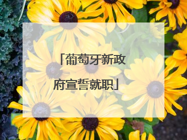葡萄牙新政府宣誓就职