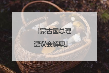 蒙古国总理遭议会解职