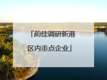 蔺佳调研新港区内重点企业