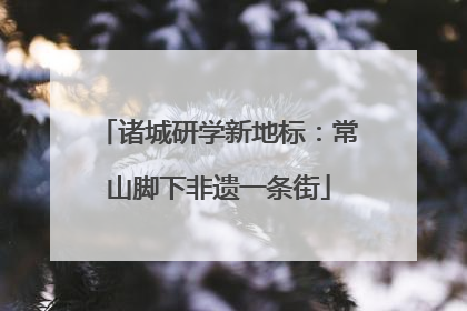 诸城研学新地标：常山脚下非遗一条街
