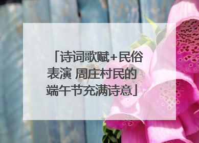 诗词歌赋+民俗表演 周庄村民的端午节充满诗意