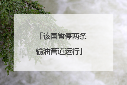 该国暂停两条输油管道运行