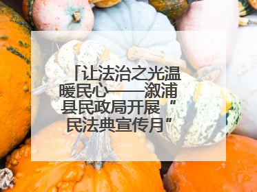 让法治之光温暖民心——溆浦县民政局开展“民法典宣传月” 普法活动