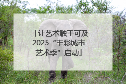 让艺术触手可及 2025“丰彩城市艺术季”启动
