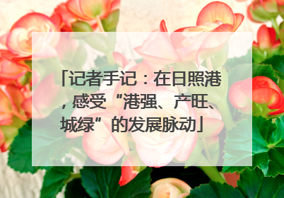 记者手记：在日照港，感受“港强、产旺、城绿”的发展脉动