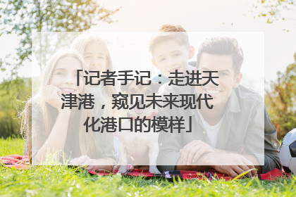 记者手记：走进天津港，窥见未来现代化港口的模样