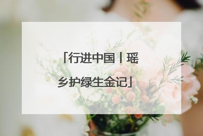 行进中国丨瑶乡护绿生金记