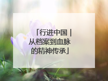行进中国｜从档案到血脉的精神传承