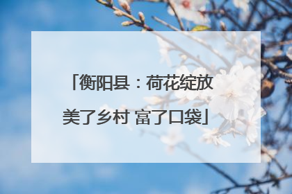 衡阳县：荷花绽放 美了乡村 富了口袋