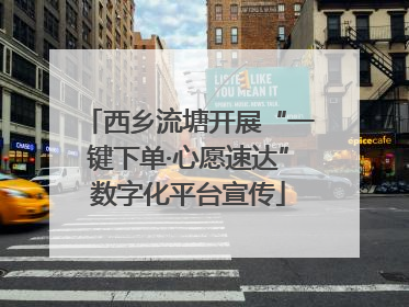 西乡流塘开展“一键下单·心愿速达”数字化平台宣传