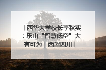 西华大学校长李秋实：乐山“智慧低空”大有可为｜西望四川