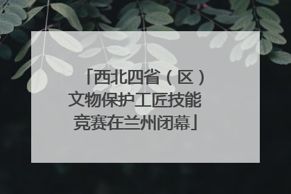 西北四省（区）文物保护工匠技能竞赛在兰州闭幕