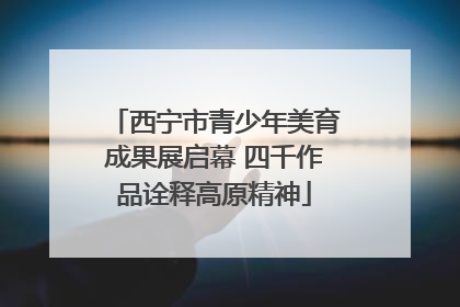 西宁市青少年美育成果展启幕 四千作品诠释高原精神