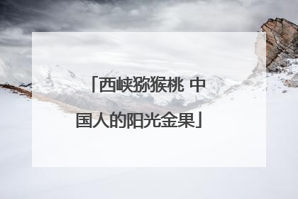 西峡猕猴桃 中国人的阳光金果