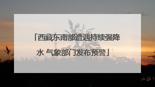西藏东南部遭遇持续强降水 气象部门发布预警