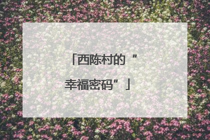 西陈村的“幸福密码”