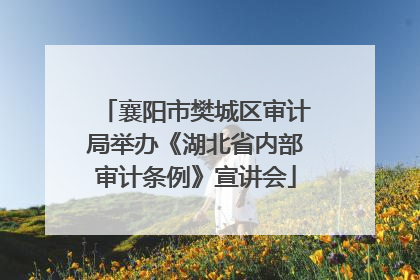 襄阳市樊城区审计局举办《湖北省内部审计条例》宣讲会