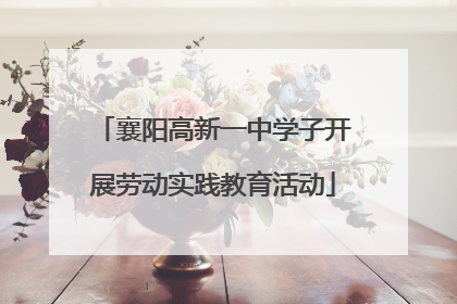 襄阳高新一中学子开展劳动实践教育活动