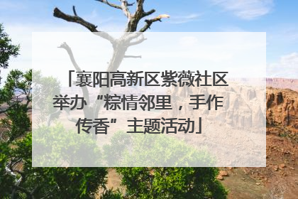 襄阳高新区紫薇社区举办“粽情邻里，手作传香”主题活动
