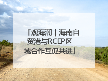 观海潮｜海南自贸港与RCEP区域合作互促共进