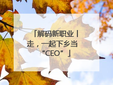 解码新职业丨走，一起下乡当“CEO”