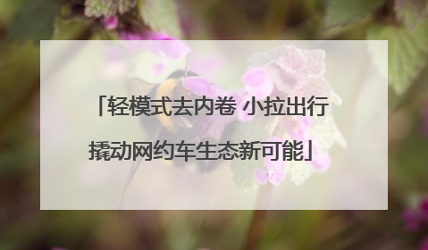 轻模式去内卷 小拉出行撬动网约车生态新可能