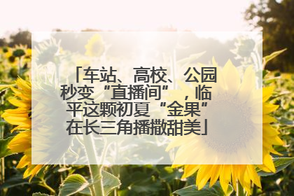 车站、高校、公园秒变“直播间”，临平这颗初夏“金果”在长三角播撒甜美