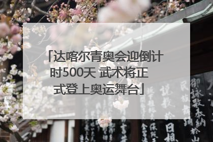 达喀尔青奥会迎倒计时500天 武术将正式登上奥运舞台