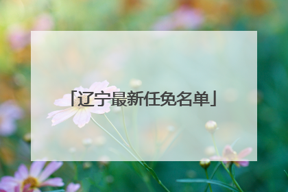 辽宁最新任免名单
