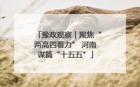 豫政观察｜聚焦“两高四着力” 河南谋篇“十五五”
