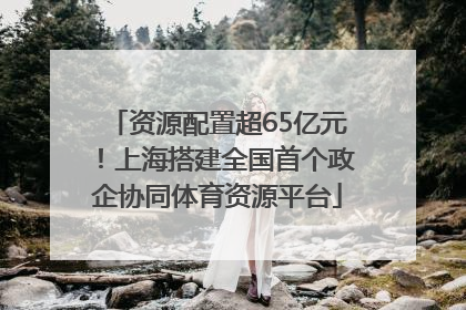 资源配置超65亿元！上海搭建全国首个政企协同体育资源平台