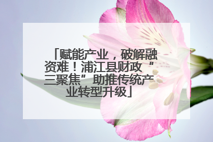 赋能产业，破解融资难！浦江县财政“三聚焦”助推传统产业转型升级
