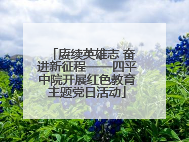 赓续英雄志 奋进新征程——四平中院开展红色教育主题党日活动