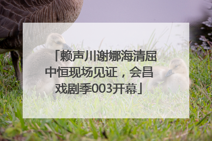 赖声川谢娜海清屈中恒现场见证，会昌戏剧季003开幕