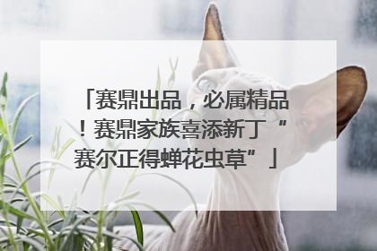 赛鼎出品，必属精品！赛鼎家族喜添新丁“赛尔正得蝉花虫草”