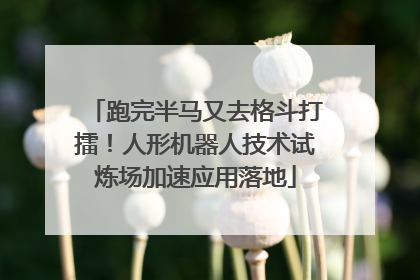 跑完半马又去格斗打擂！人形机器人技术试炼场加速应用落地