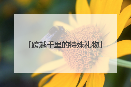 跨越千里的特殊礼物