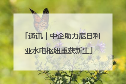 通讯｜中企助力尼日利亚水电枢纽重获新生